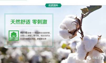 一朵棉花，一個國牌 醫(yī)用敷料OEM的國民品牌轉(zhuǎn)型與資本之路