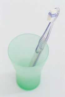 生活日用品素材全攻略 從圖片、背景到模板的一站式解決方案